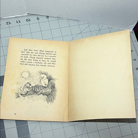 Mystery in the Night Woods Book - Picture 4 of 5